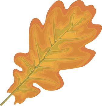 Oak leaf. Yellow autumn oak leaf. Oak tree leaf. Autumn vector illustration isolated on a white background