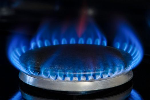 Combustion of natural gas, propane. Gas stove on a black background. Fragment of a gas kitchen stove with a blue flame, close-up. Energy crisis concept, rise in price or price of gas.
