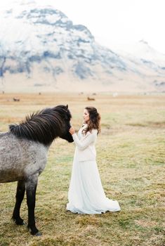 Bride stands near the horse in the pasture