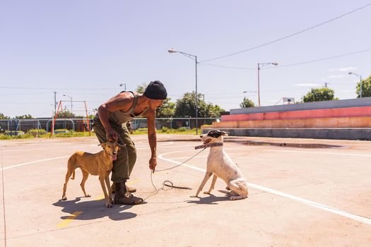 Latino man giving orders to a mongrel dog in a park