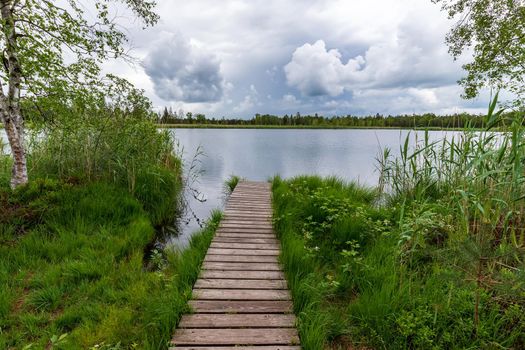 A wooden pier in green reeds on the lake shore and clouds in the sky, 