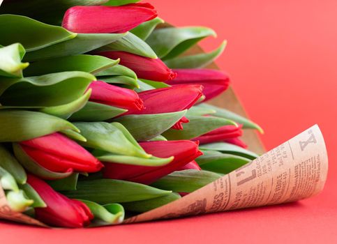 Bouquet of red tulips on a red background.