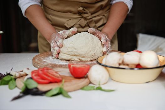 Details: Chef's hands with a raising yeast dough and fresh organic pizza ingredients on the table on blurred foreground