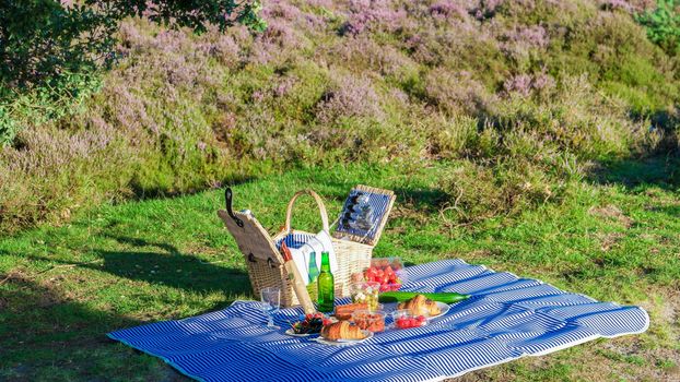 Ppicnic basket in nature with blanket at the Posbank National park Veluwe