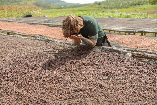 Man smelling the aroma of dried coffee beans