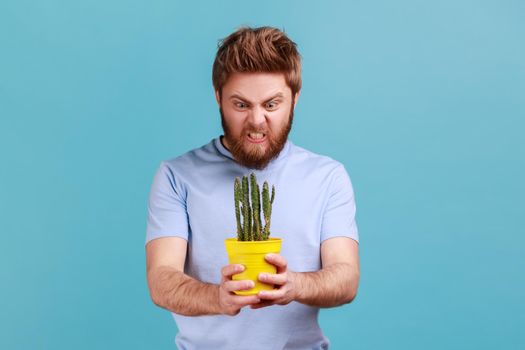 Man holds tricky cactus in flower pot in hands and frowning face expressing negative emotions, anger