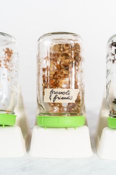 Growing sprouts in a jar