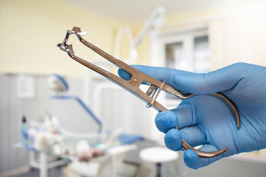 Dentist's hand in glove with rubber dam clamp forceps and clamp.