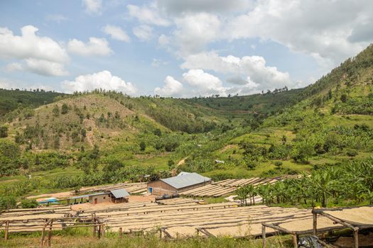 Small coffee processing farm in the mountains