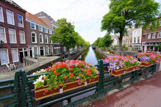 THE HAGUE, NETHERLANDS - JUNE 9, 2022: Bridge with blooming flowers on canal in The Hague, Netherlands