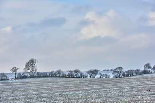 Wintertime in the countryside - Denmark. Danish farmland in wintertime.