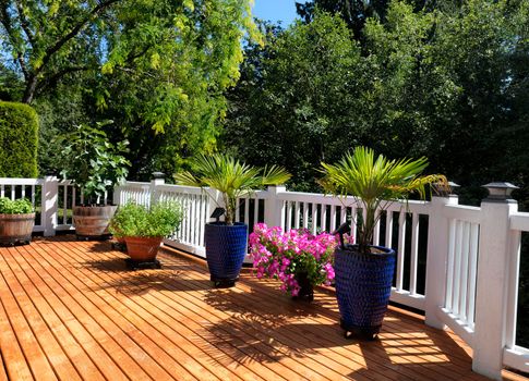 Home garden on outdoor wooden deck during summer time