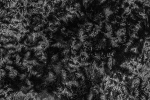 Black wool texture fur background dark soft material abstract surface pattern natural