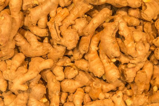 Ginger Roots Background Spices and Ingredients Vegetables Organic Plants Medicine