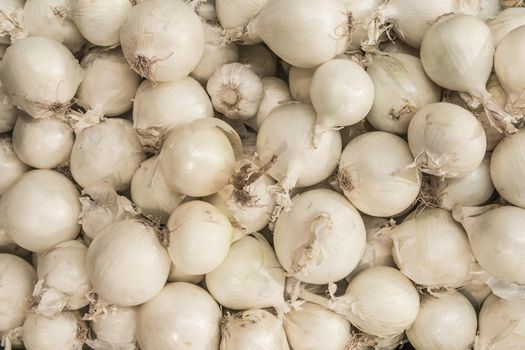 White onion vegetable raw ingredient food organic background