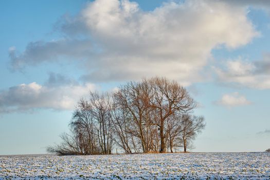 Wintertime - countryside in Denmark. Winter landscape on a sunny day with blue sky