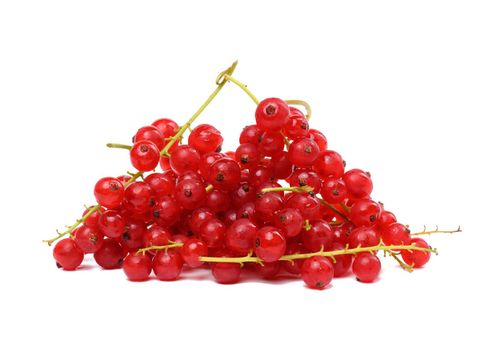 A bunch of ripe red currants on a white isolated background