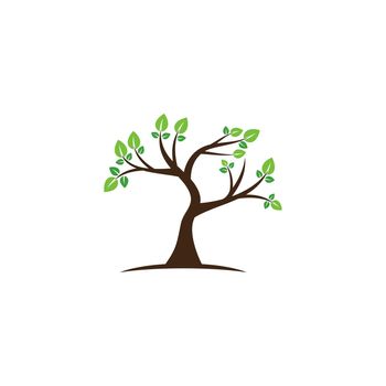 Abstract tree logo design, Green tree and leaf, root vector - Inspiration of the tree of life logo design is isolated against a white background