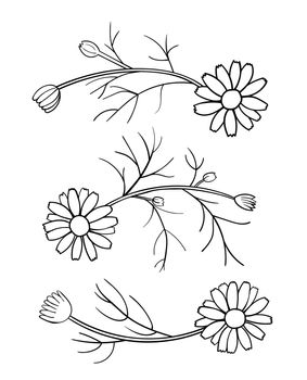 Daisy elements for pattern. Black contour on white background. Simple vector illustration