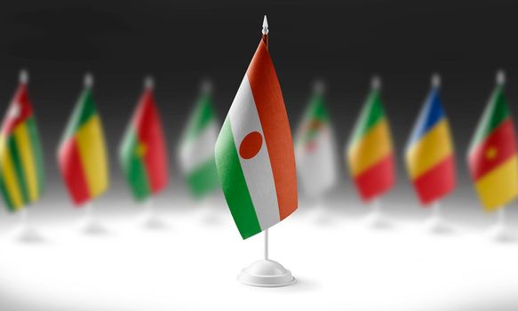 The national flag of the Niger on the background of flags of other countries