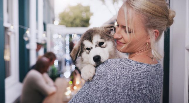 Its impossible not to pick him up for a cuddle. young woman cuddling her adorable husky puppy during a social gathering at home.