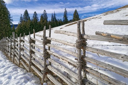 Old wooden fence on snowy pasture