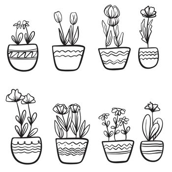 Set of houseplant vector illustration with simple line doodle design. Home plants in decorative pots.