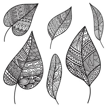 Set of Vector zen tangle and doodle leaf. Anti-stress autumn Nature coloring book. Black and white zentangle leaves. Doodle handdrawn illustration. Happy fal coloring page for adults.