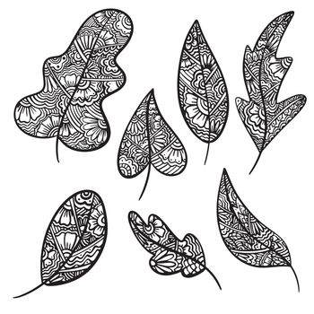 Set of Vector zen tangle and doodle leaf. Anti-stress autumn Nature coloring book. Black and white zentangle leaves. Doodle handdrawn illustration. Happy fal coloring page for adults.
