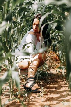A brunette girl in a white dress in a cornfield. The concept of harvesting