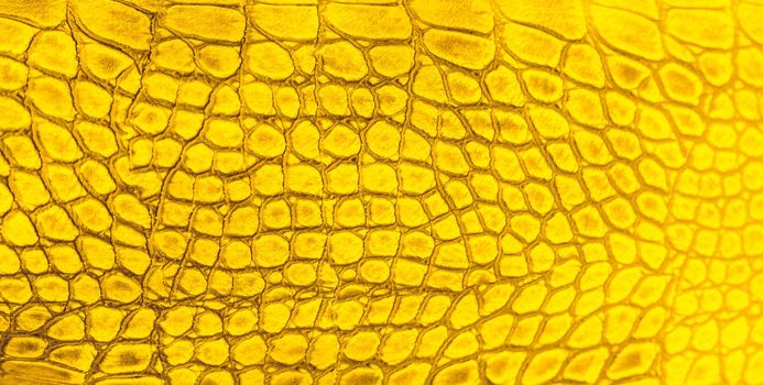 Snake skin background. Close up reptile texture.
