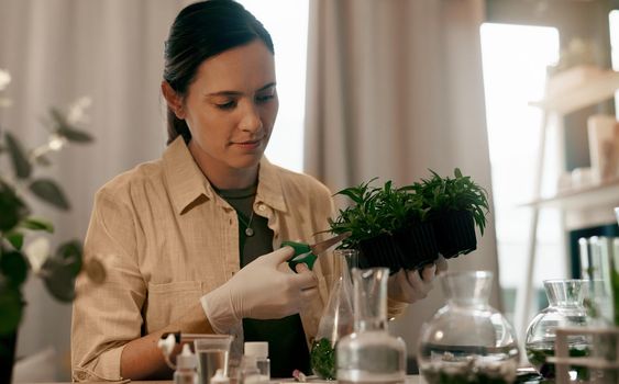 My love for plants started when I was a child. an attractive young botanist trimming the leaves of a plant while working inside her office.