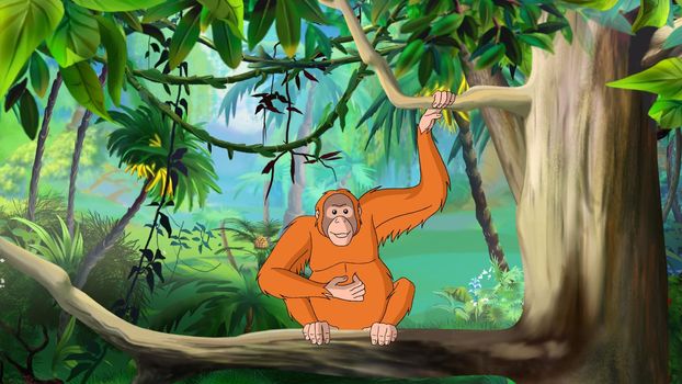 Orangutan on a tree in the rainforest