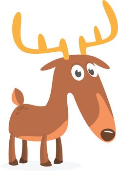 Cartoon deer character illustration. Vector isolated