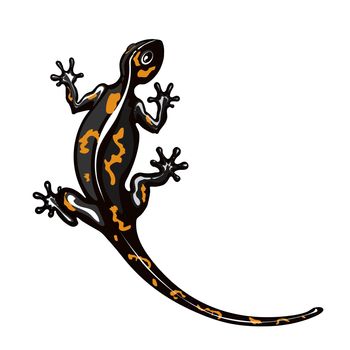 Salamander is a stylized lizard. Reptile silhouette. Vector illustration of scaly lizards. Lizard logo. Totem design. Tattoos.