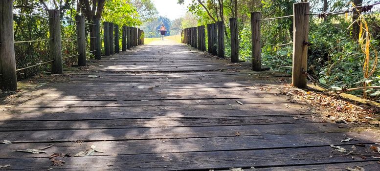 wooden bridge in the middle of nature in park