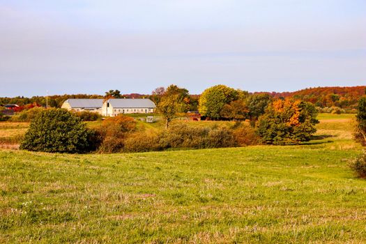 Beautiful Autumn landscape. Farm among autumn trees. House in the village, Denmark.