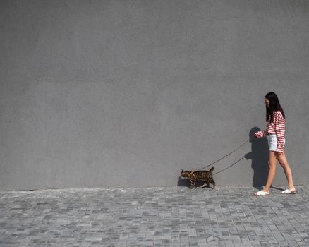 A young woman walks with a gray tabby cat on a leash against a gray wall.