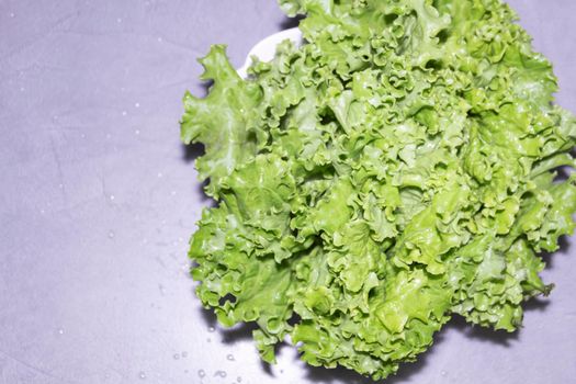 Curly, green, fragrant lettuce leaves for proper nutrition and human health.