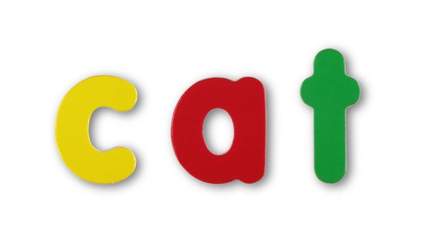 Cat coloured magnetic letters on white with clipping path