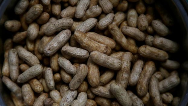 peanut seeds