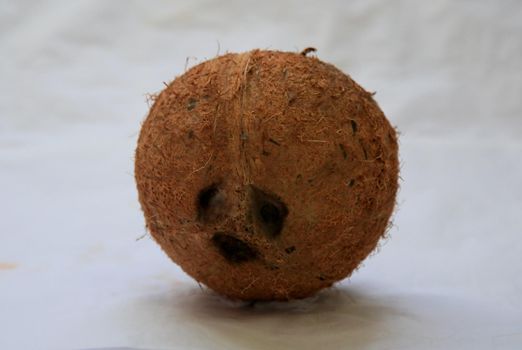 Dried coconut
