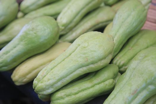 chayote for sale at fair