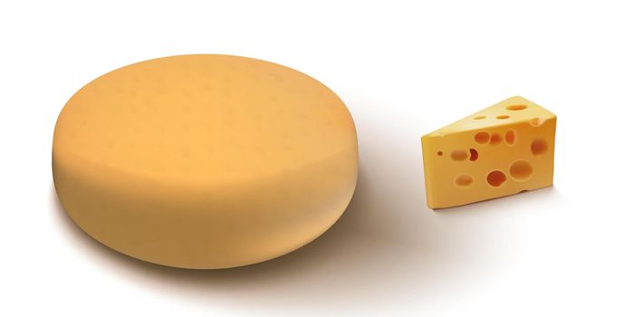 Realistic Cheese Head And Piece Of Cheese