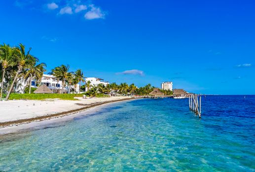 Playa Azul beach palm seascape panorama in Cancun Mexico.