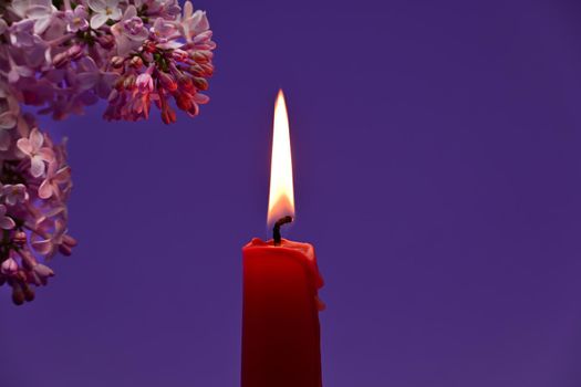 Twig of flowering lilac near burning red candle