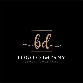BD Initial handwriting logo with rectangle template vector
