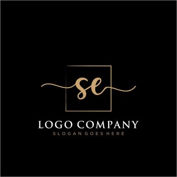 SE Initial handwriting logo with rectangle template vector