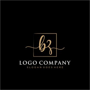 BZ Initial handwriting logo with rectangle template vector