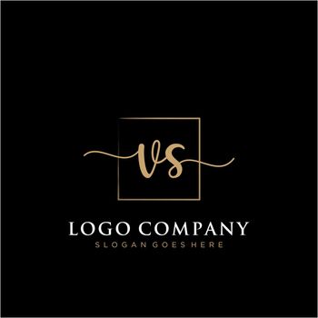 VS Initial handwriting logo with rectangle template vector